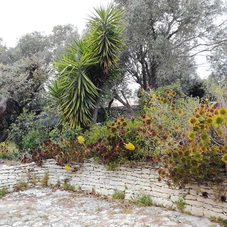 Bonifacio, Maison 90M² Sous Les Oliviers, Vue Sardaigne Bonifacio  Exteriör bild