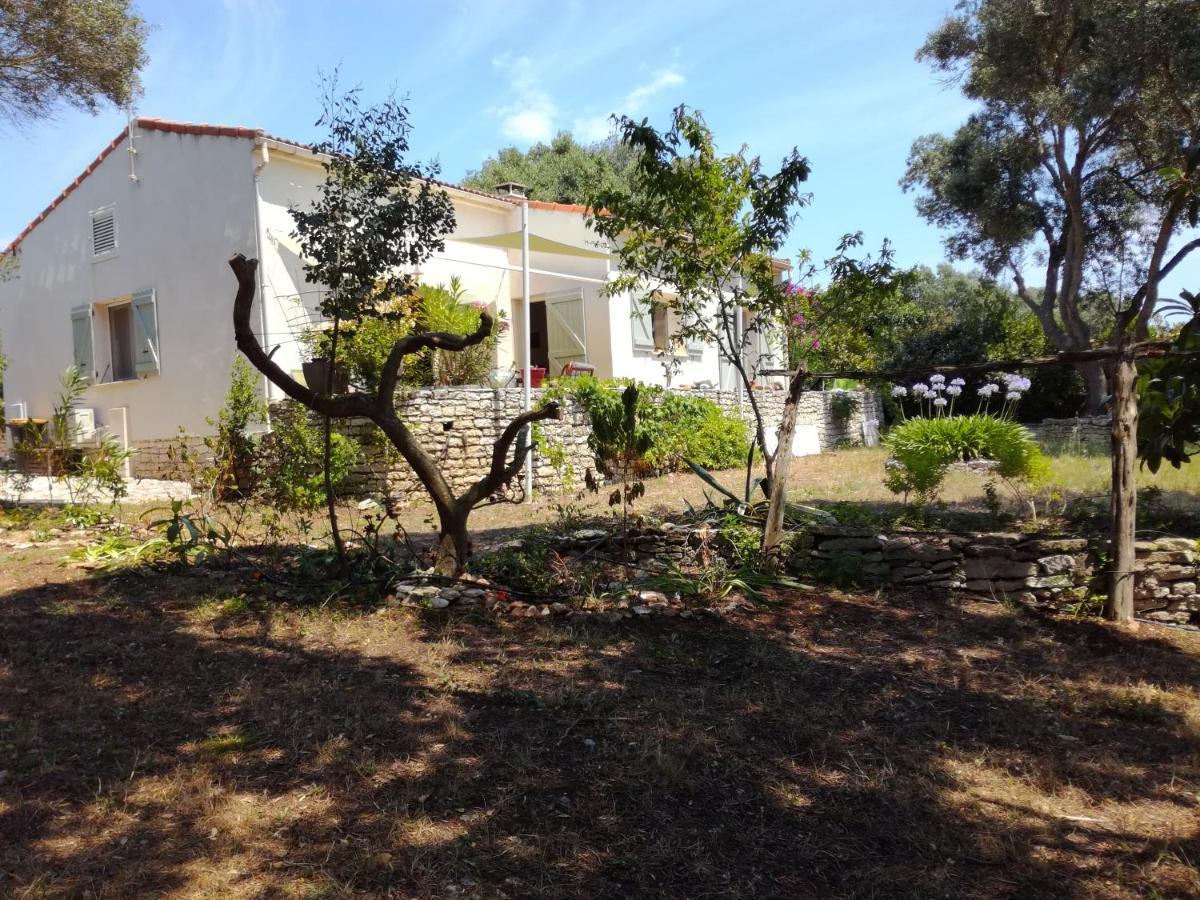 Bonifacio, Maison 90M² Sous Les Oliviers, Vue Sardaigne Bonifacio  Exteriör bild