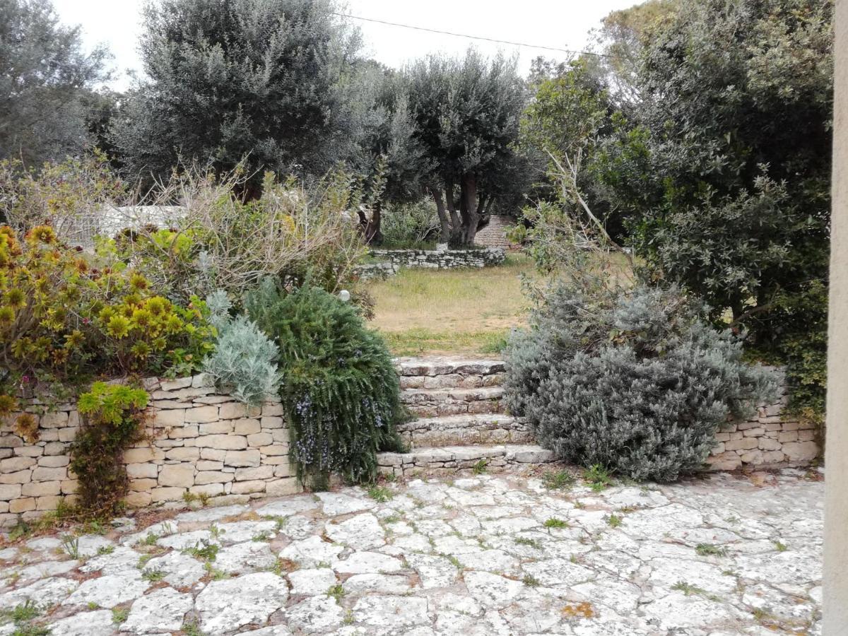 Bonifacio, Maison 90M² Sous Les Oliviers, Vue Sardaigne Bonifacio  Exteriör bild